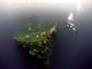 Fujikawa Maru by Greg Adams 2