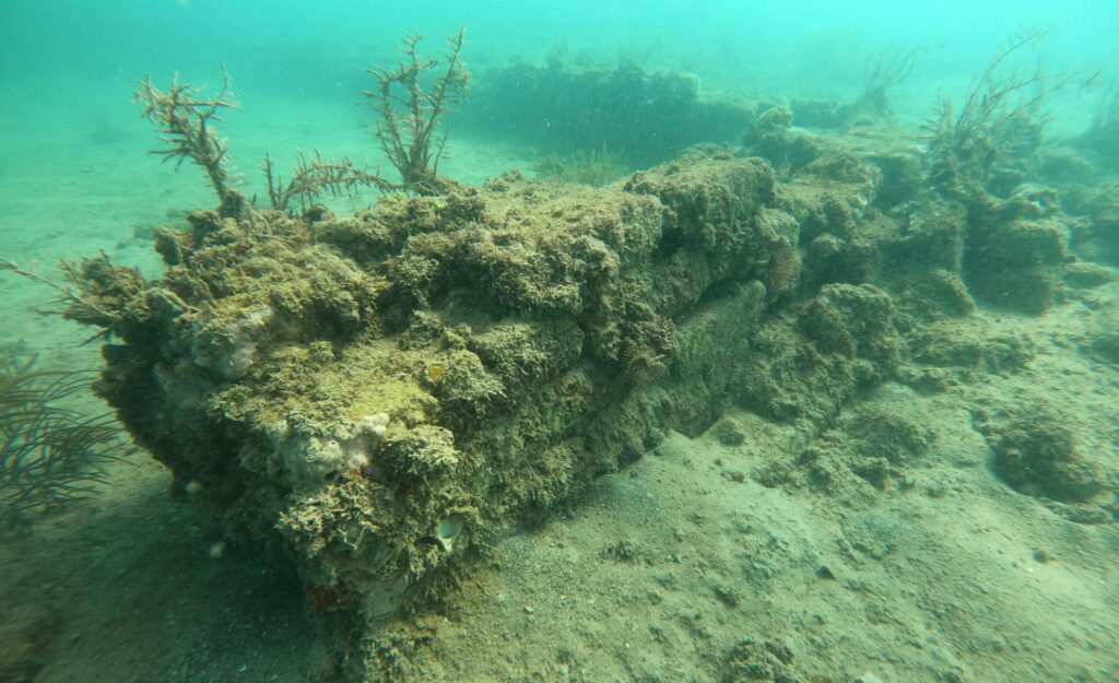 Port Royal Underwater City, Jamaica. Photo: R. Junco/SAS-INAH-JNHTSAS-INAH-JNHT